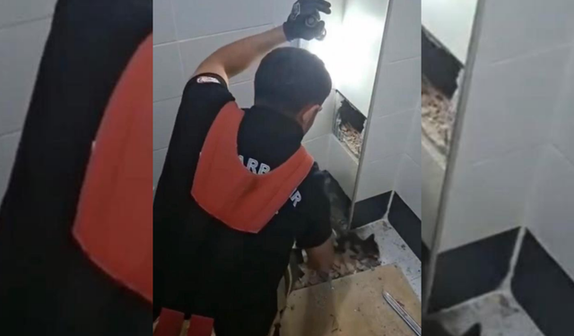 Diyarbakır'da itfaiye ekipleri bu kez bir kedi için harekete geçti