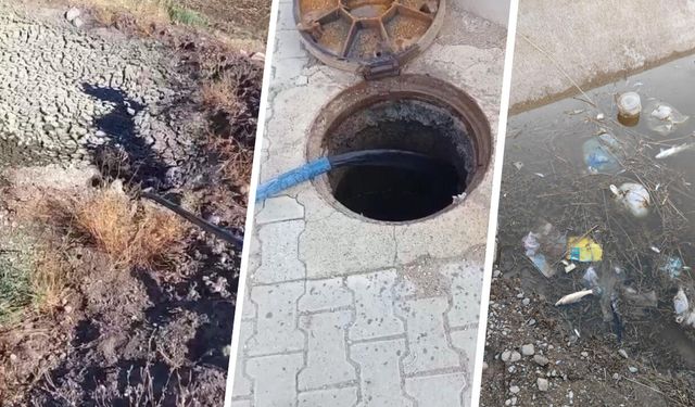 Diyarbakır’da yılardır süren katliam gün yüzüne çıkıyor!