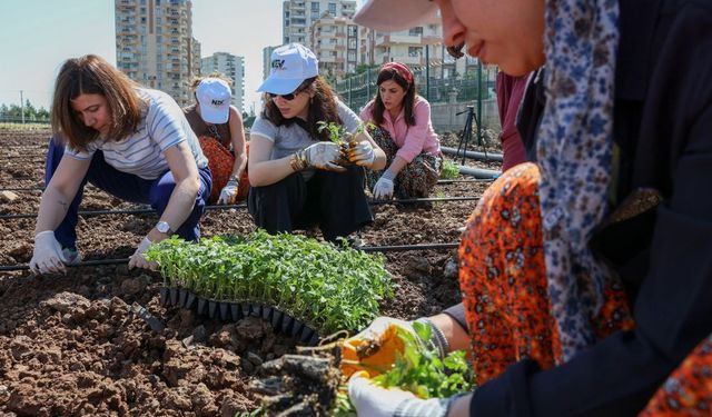 Diyarbakır’da kadınların ortak emeği toprakla buluştu