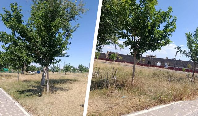 Diyarbakır Sur’da turizmin kalbinde bakımsızlık tepkisi!