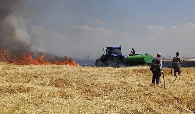 Diyarbakır’da yüzlerce dönüm arazi küle döndü