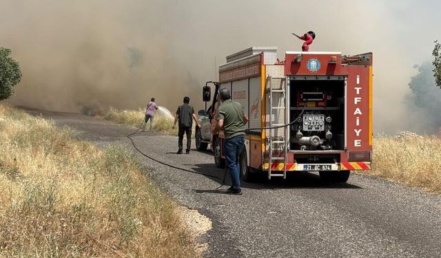 Diyarbakır’da tarla yangını: Yüzlerce dönüm buğday kül oldu