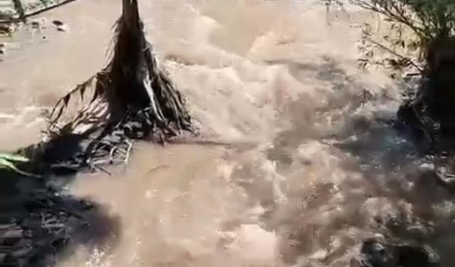 Diyarbakır Hevsel Bahçeleri tehlikede!
