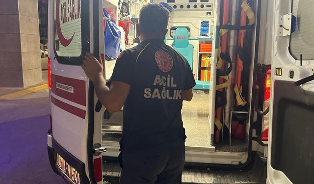 Arı sokması nedeniyle ölümle boğuşuyor