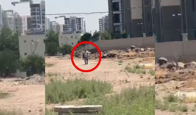 Diyarbakır'da şok iddia: "Sağlık Personeliyiz" diyerek köpekleri vurdular