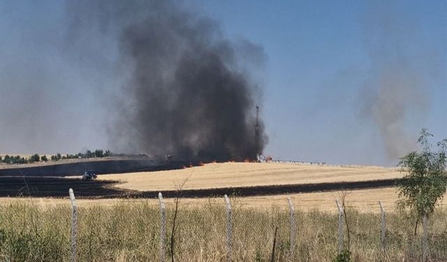 Diyarbakır'da korkutan yangın: Alevler petrol sahasına yaklaştı