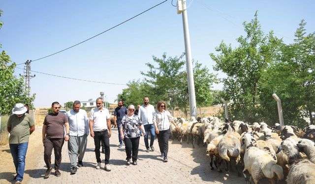 Diyarbakır’da kırsal mahallelerde yol ve çevre düzenleme çalışmaları