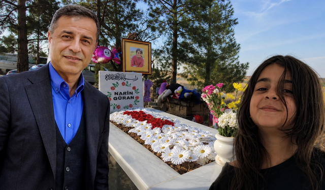 Demirtaş'tan Narin Güran davası yorumu: Karar hukuk faciası