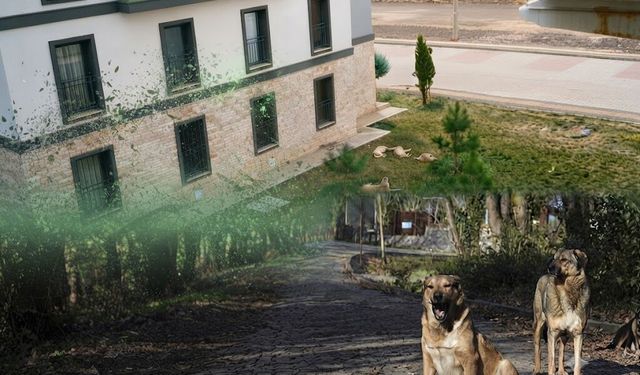 Diyarbakır'da TOKİ sakinleri endişeli: Çocuklarımızı parka götüremiyoruz
