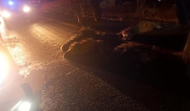 Diyarbakır'da otomobil koyun sürüsüne daldı: 15 küçükbaş telef oldu