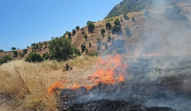 Diyarbakır’da örtü yangını; Ekipler alevlerle savaşıyor