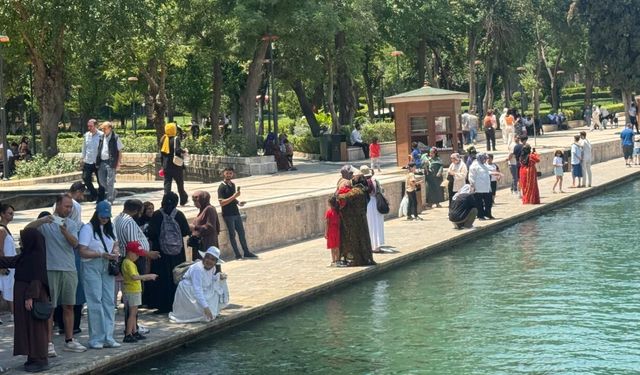 Şanlıurfa'da termometreler 45 dereceyi gördü
