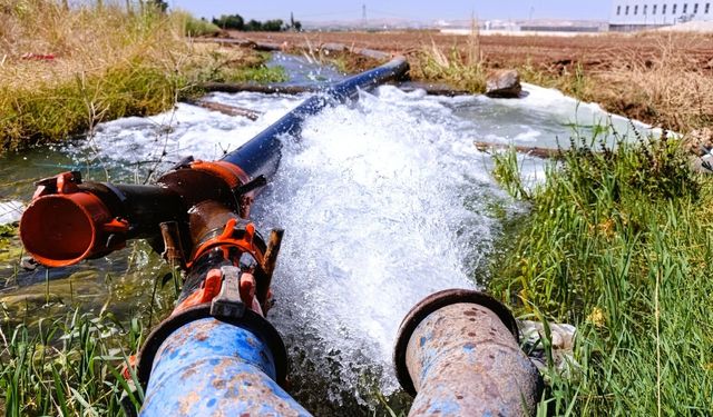 Şanlıurfa'da tarımsal sulamada kaçak elektrik oranı yüzde 94'e çıktı