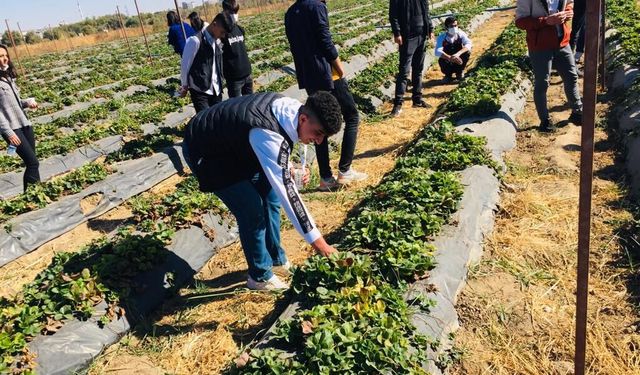 Dicle Üniversitesi’nden bölge tarımına bilimsel destek