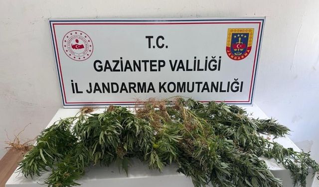 Gaziantep’te uyuşturucuya darbe