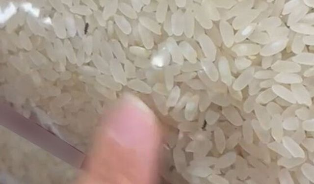 Pirinç paketinde böcek görüldü