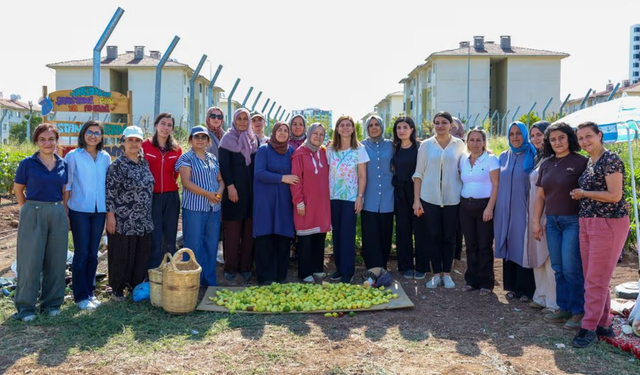 Diyarbakır’da kadın emeği bostanlarda büyüyor