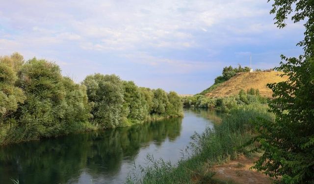 Gaziantep Kuş Cenneti’nde sona gelindi