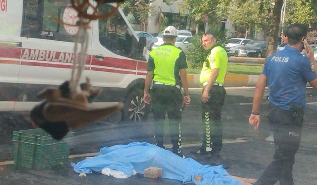 Diyarbakır’da aracın çarptığı yaşlı adam hayatını kaybetti