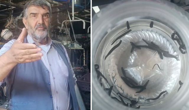 Diyarbakır’da 4 yaşında başladı, 72’sinde hâlâ sürdürüyor: Sülükçü Mustafa Dayı’nın 68 yıllık mesleği