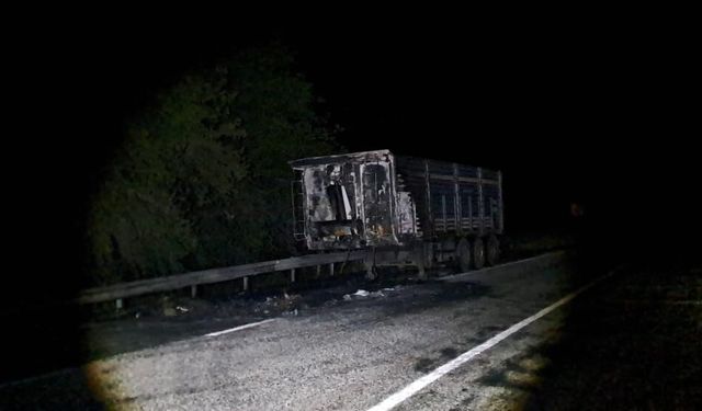 Diyarbakır’da seyir halindeki tır alevlere teslim oldu