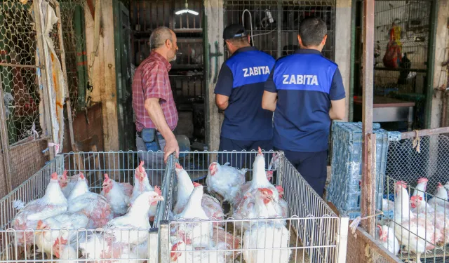 Diyarbakır'da zabıta baskını! 17 iş yeri ve 1 kesimhane mühürlendi