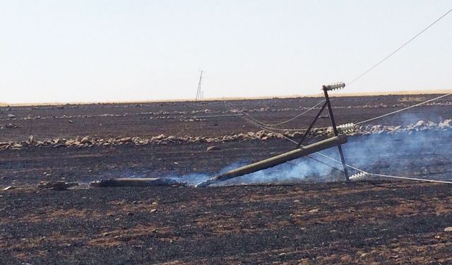Dicle Elektrik’ten anız yangını uyarısı: 250 direk zarar gördü