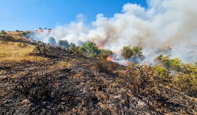 Diyarbakır’da korkutan yangın! Üzüm bağları zarar gördü
