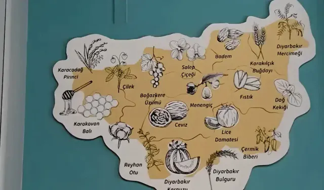 Diyarbakır’da Bağıvar Dijital Merkezi açıldı