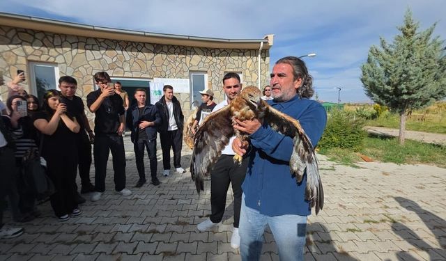 Tedavisi tamamlanan şahin doğaya bırakıldı