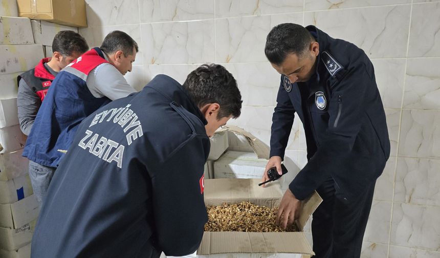 Baklavada kullanılacak tonlarca küflenmiş ceviz ele geçirildi