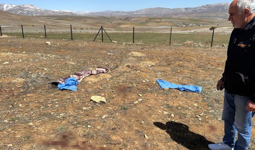 Başıboş köpeklerin saldırdığı kişi öldü
