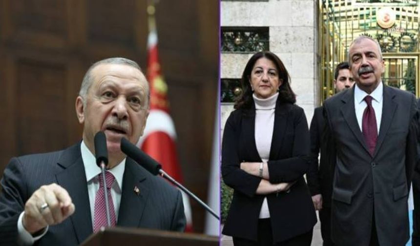 DEM Parti'den Beştepe mesajı