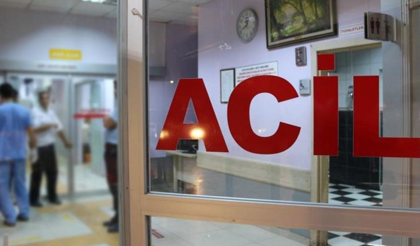 Yaylada arazi kavgası: 3 ölü, 1 yaralı