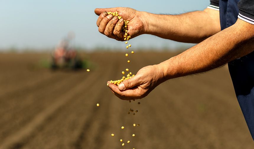 Tarım ürünleri fiyatlarında mart ayında artış