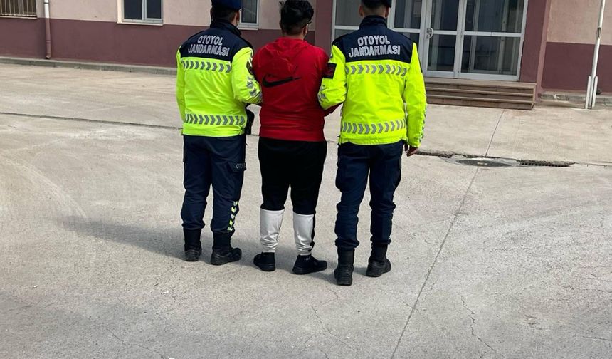 Yolcu otobüsündeki sır çanta narkotik köpeğinden kaçamadı!