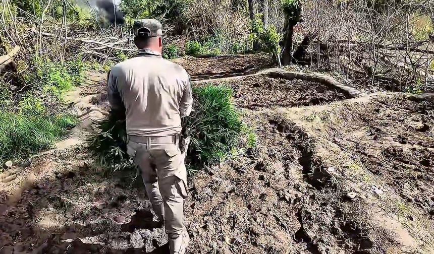 Diyarbakır’da hava destekli uyuşturucu operasyonu: Gözaltılar var