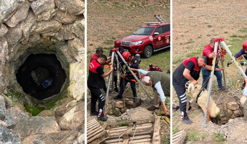 Diyarbakır’da kuyuya düşen koyun böyle kurtarıldı