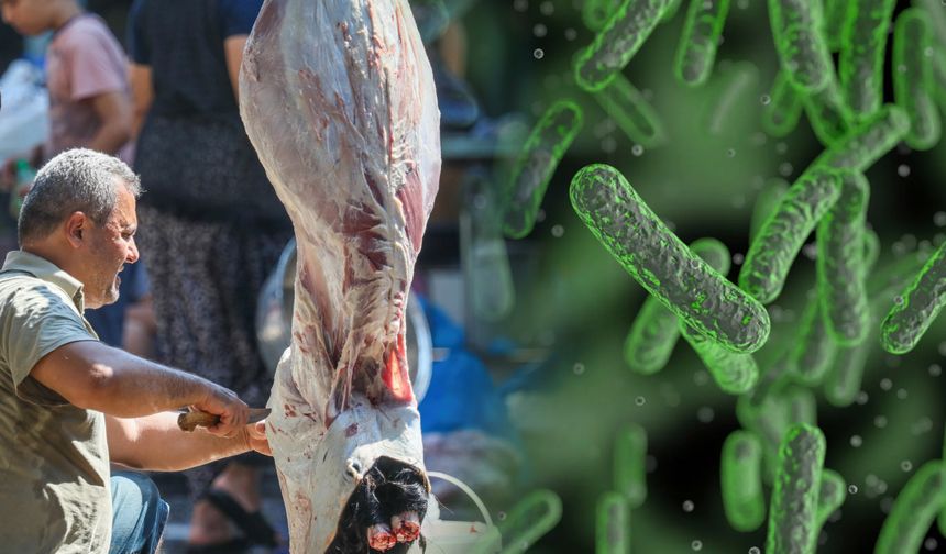 Kurban Bayramı yaklaşırken "salmonellaya"  dikkat!