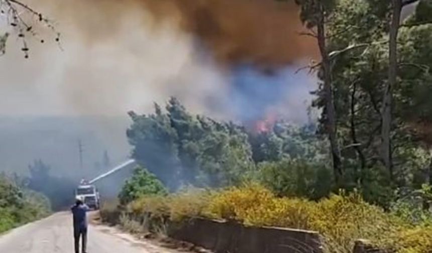 Suriye’de 30 hektardan fazla alan yandı