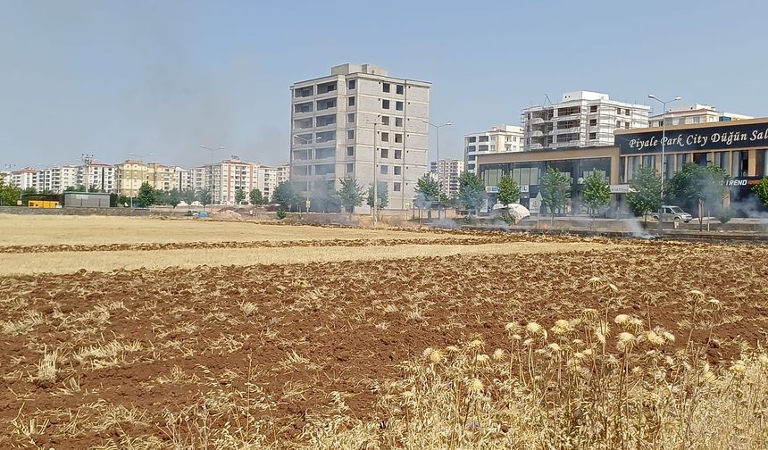 Diyarbakır Bağlar’da anız yangını korkuttu