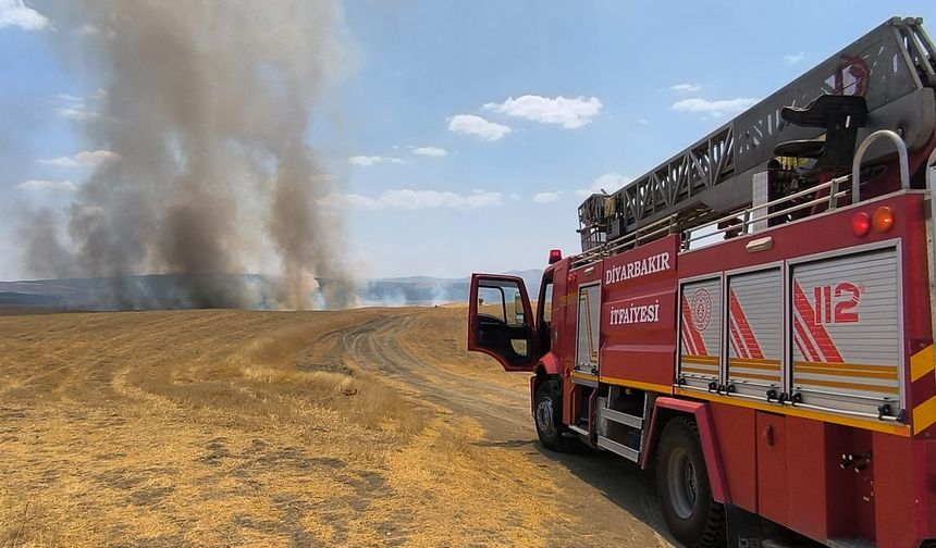 Diyarbakır'da alevler ormana sıçradı: 30 hektarlık alan kül oldu
