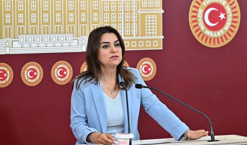 DEM Parti'li Koçyiğit: Tüm siyasi partiler Öcalan’la doğrudan görüşmeli