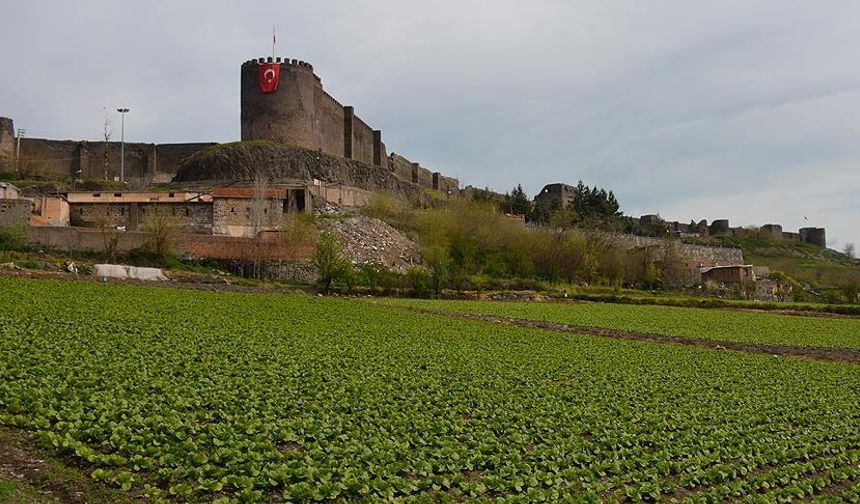 DİTAM’dan UNESCO Dünya Mirası Alanı için yol haritası arayışı