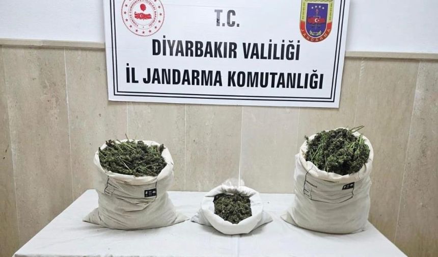 Diyarbakır’da üç mahallede eş zamanlı operasyon