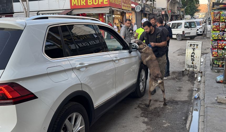 Diyarbakır’da ‘Narko Hançer’ uygulaması