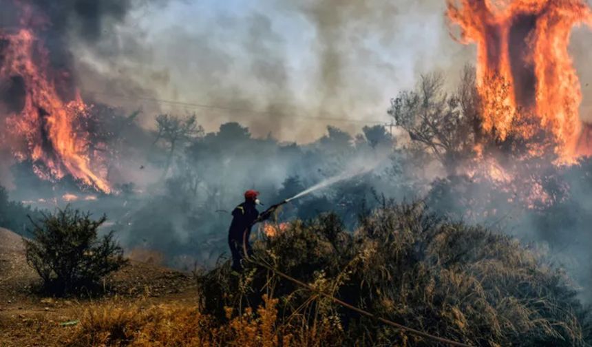 Orman yangınlarında 132 bağımsız birim hasar aldı