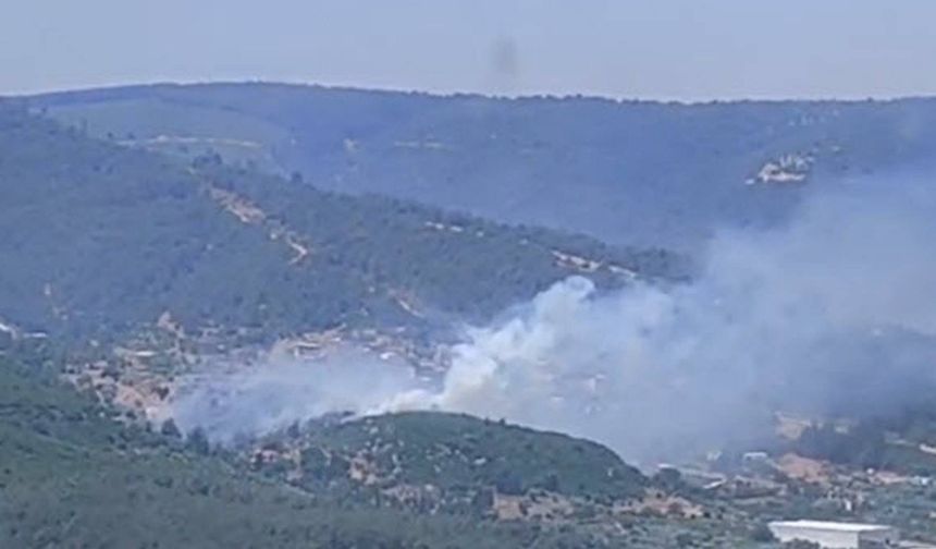 Diyarbakır’da ormanlık alanda korkutan yangın