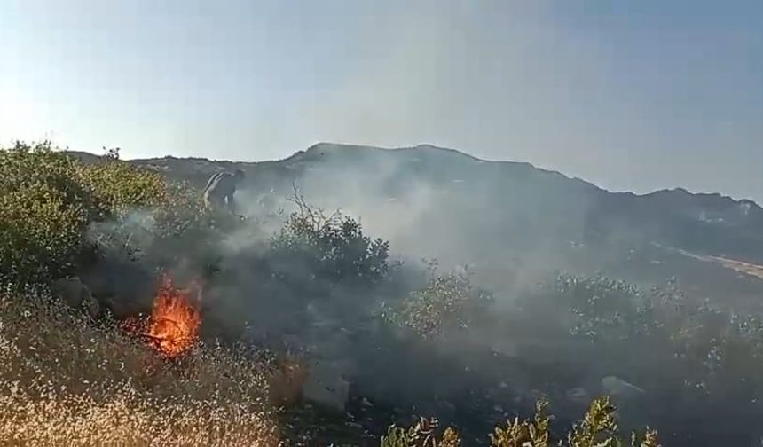 Diyarbakır'da çıkan orman yangını korkuttu
