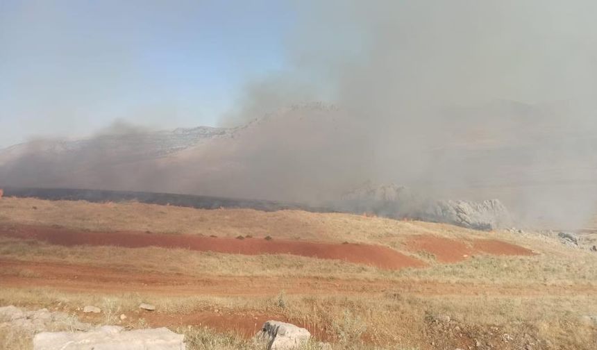 Diyarbakır’da yaylada örtü yangını